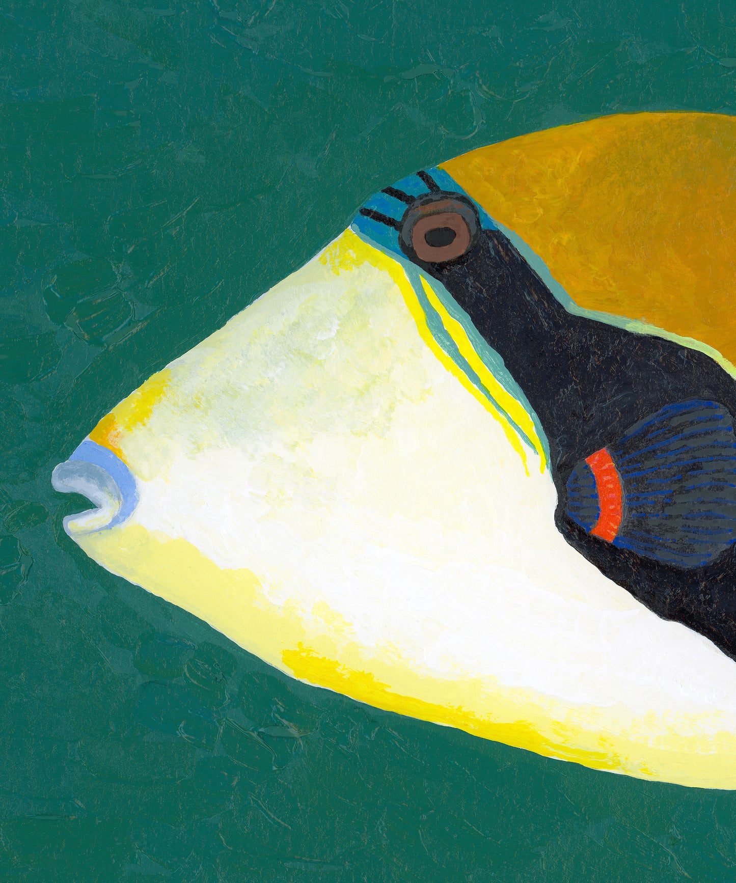Triggerfish by Hannah Ervick