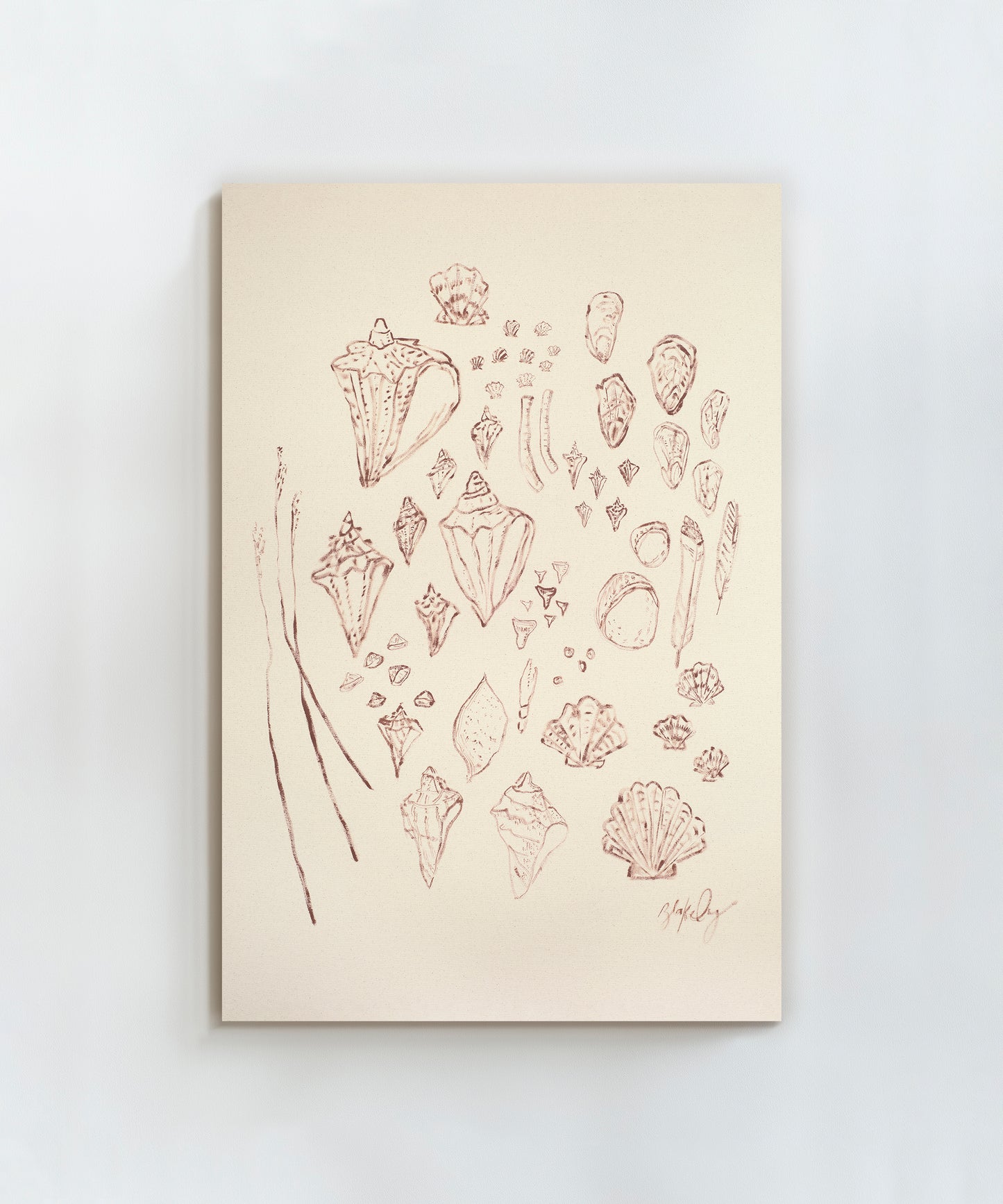 Saltwater Shells by Blakely Little