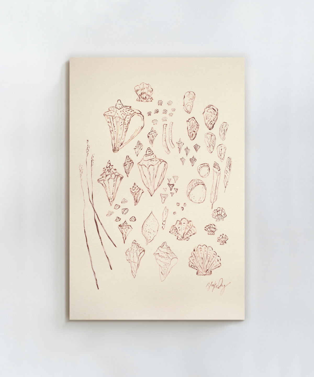 Saltwater Shells by Blakely Made