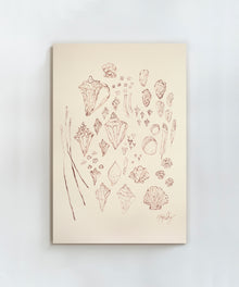 Saltwater Shells by Blakely Made