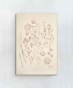 Saltwater Shells by Blakely Made