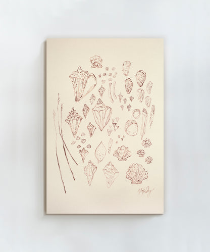 Saltwater Shells by Blakely Little