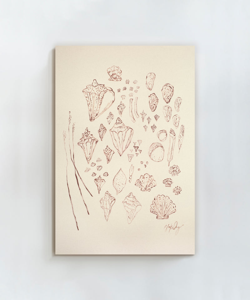 Saltwater Shells by Blakely Little