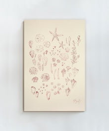 Stars of the Sea by Blakely Made