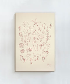 Stars of the Sea by Blakely Made