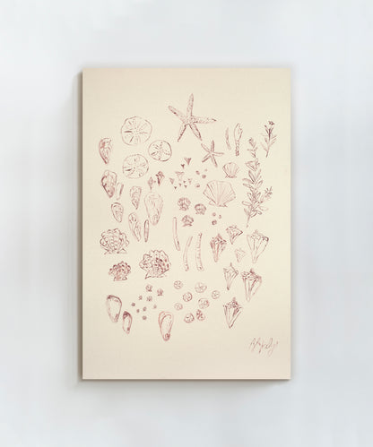 Stars of the Sea by Blakely Little