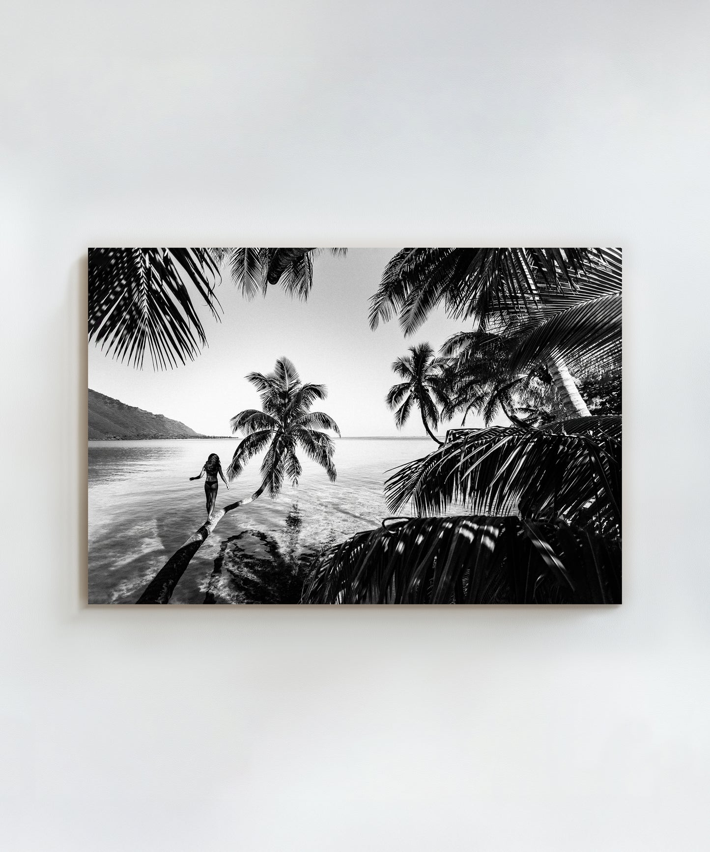 Branching Out by Benjamin Ono