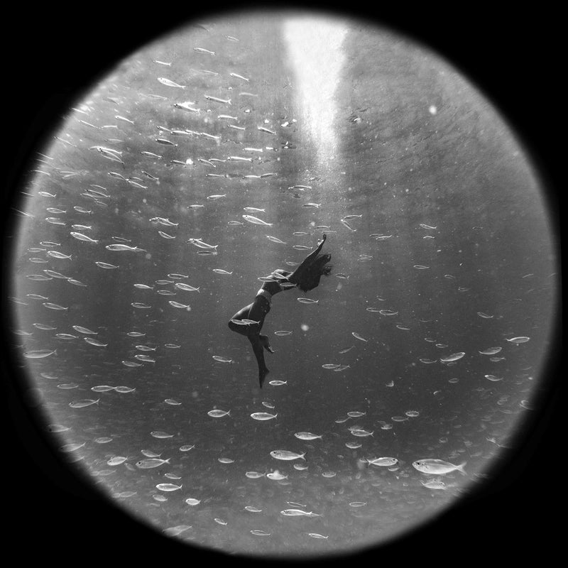 Encircled by Benjamin Ono