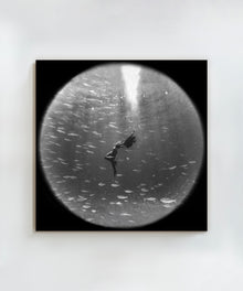 Encircled by Benjamin Ono