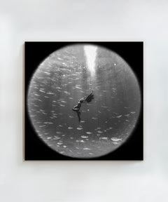 Encircled by Benjamin Ono