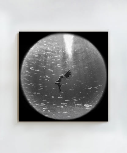 Encircled by Benjamin Ono