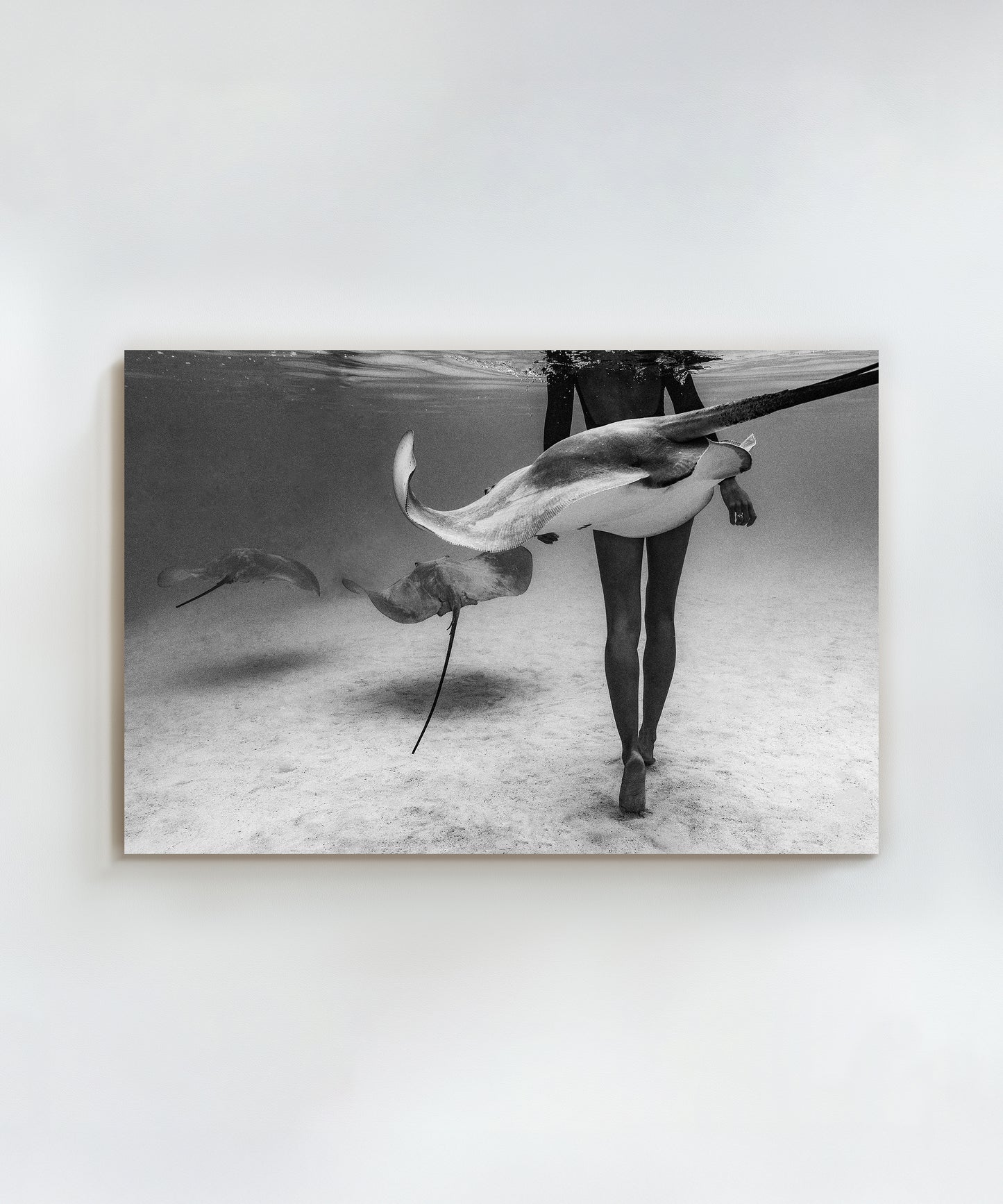 Stinger by Benjamin Ono