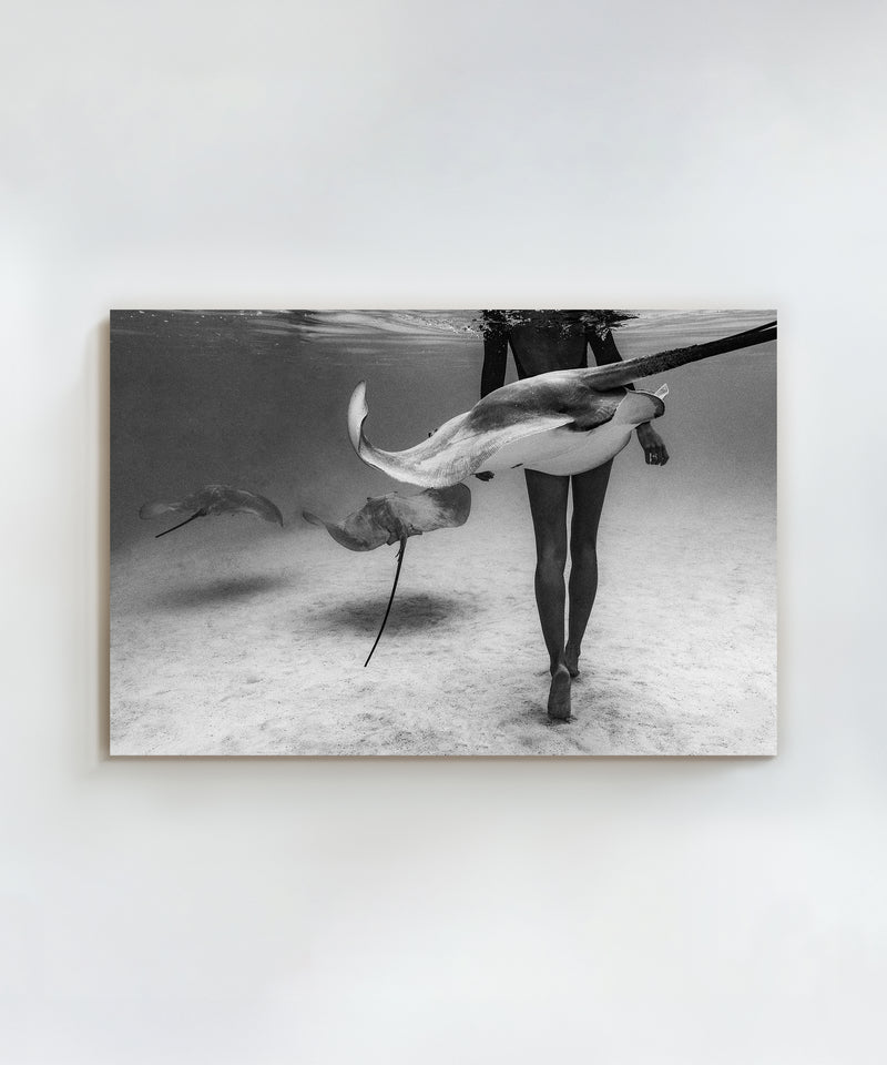 Stinger by Benjamin Ono