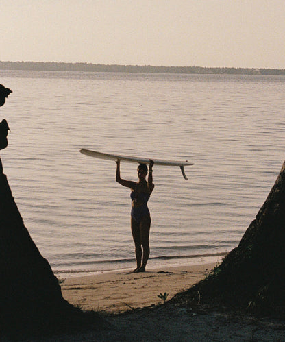 Between Two Palms by Paula Ortega