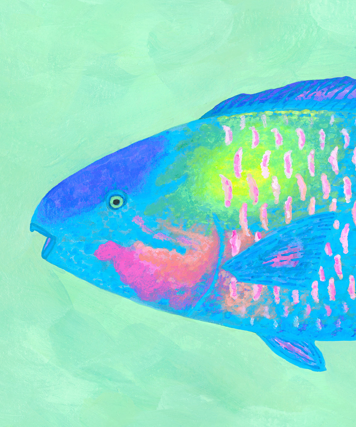 Parrotfish #1 by Hannah Ervick