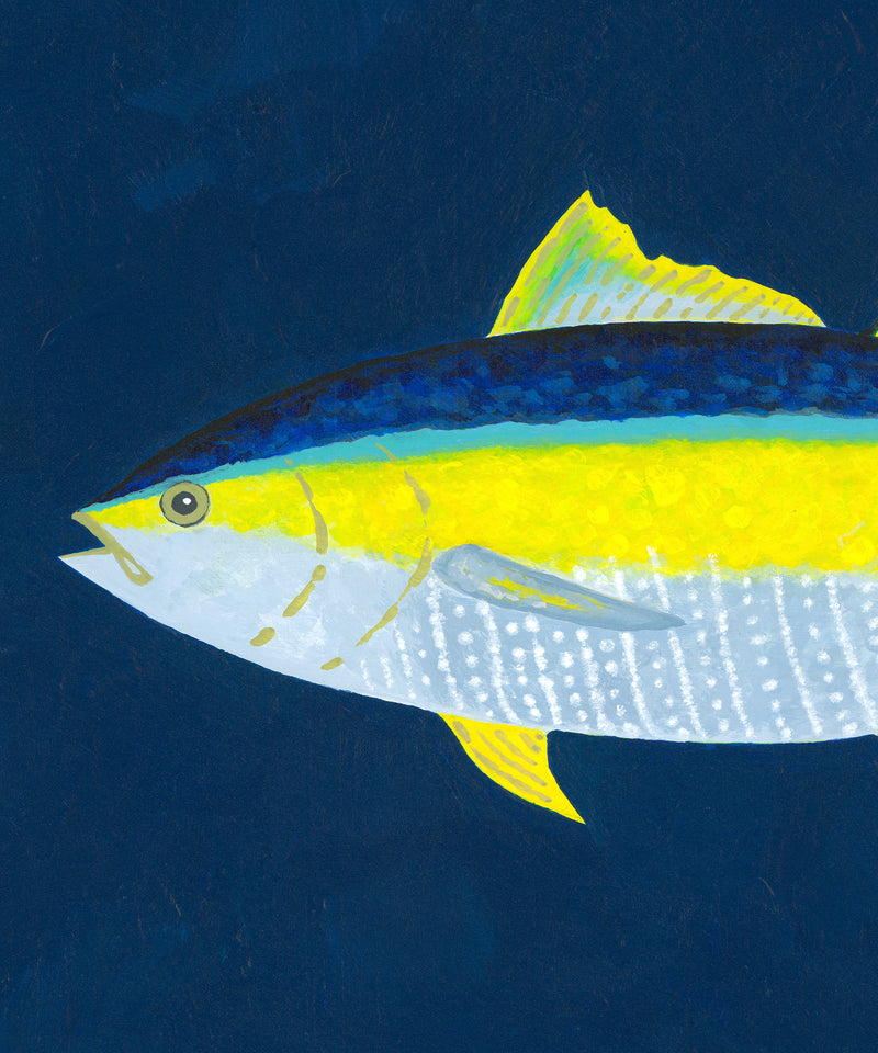 Tuna by Hannah Ervick