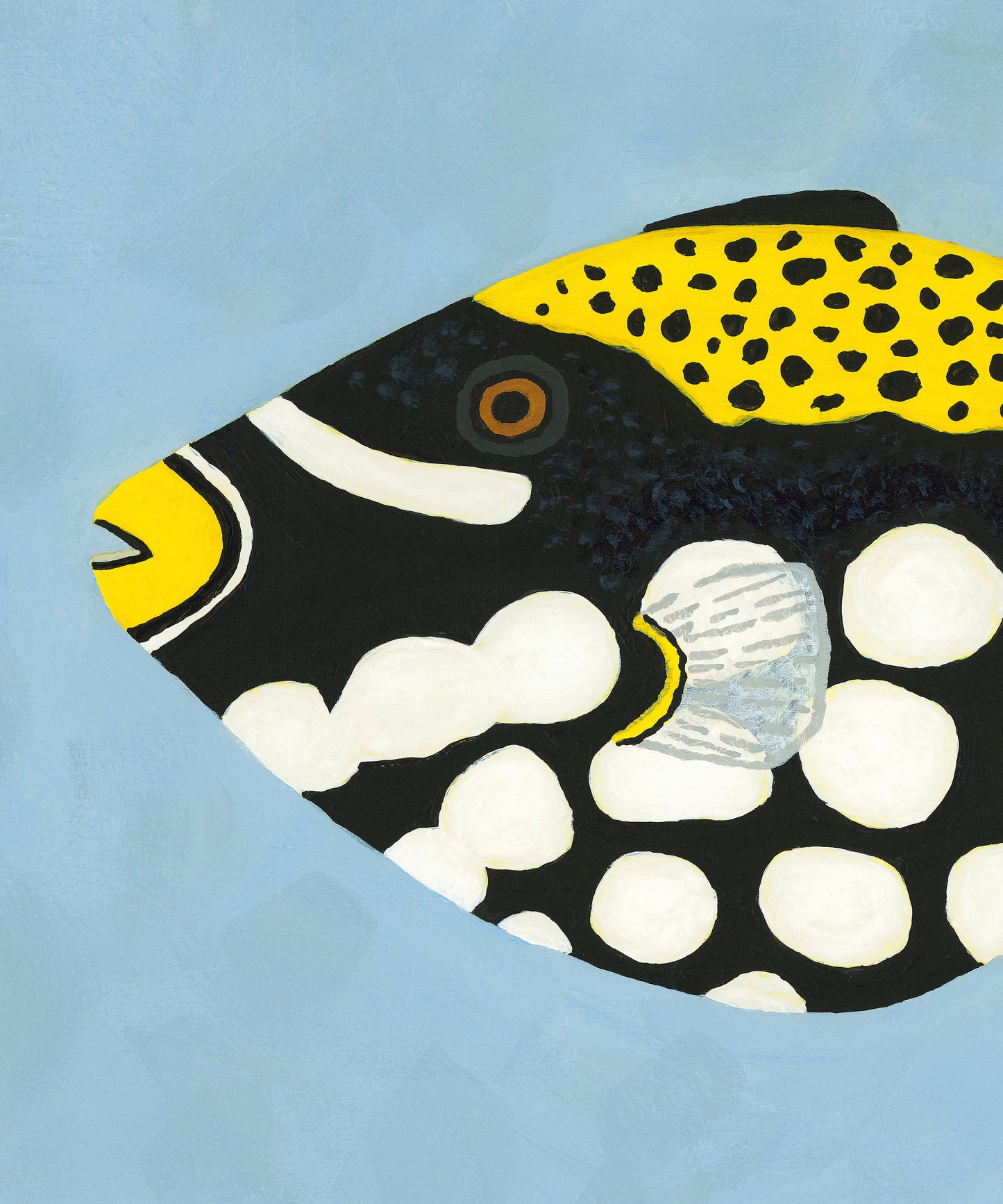 Clown Triggerfish by Hannah Ervick
