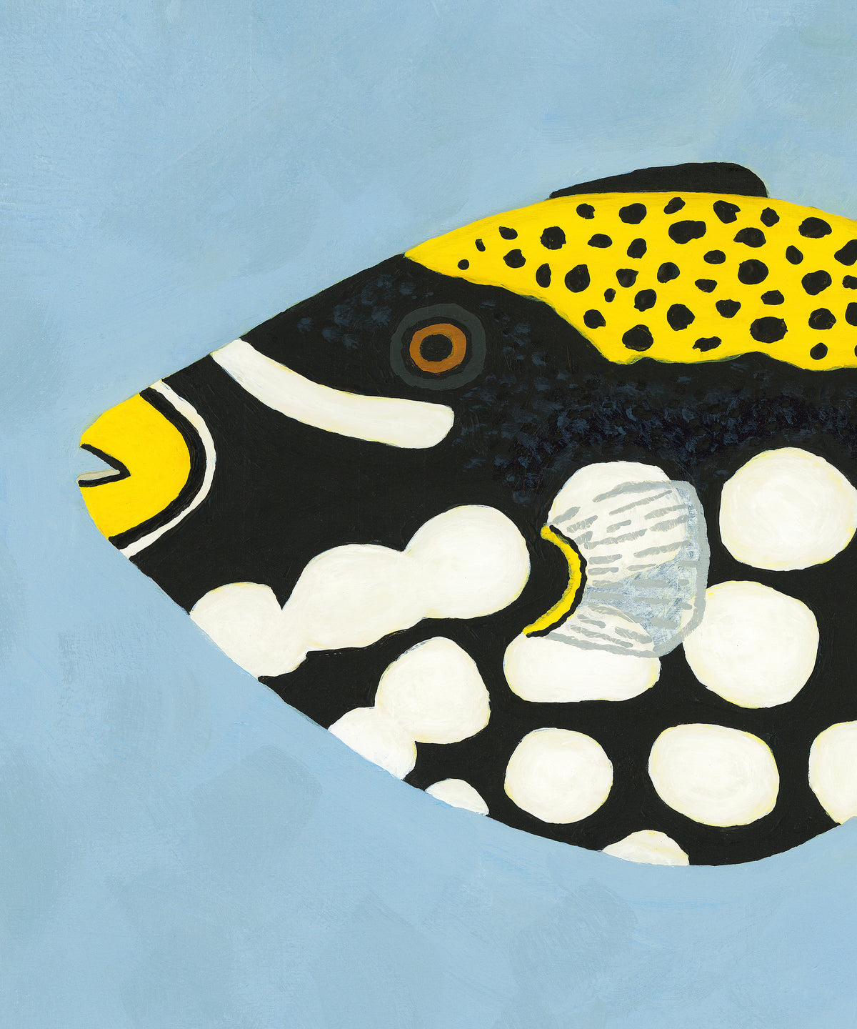 Clown Triggerfish by Hannah Ervick