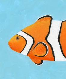 Clownfish by Hannah Ervick