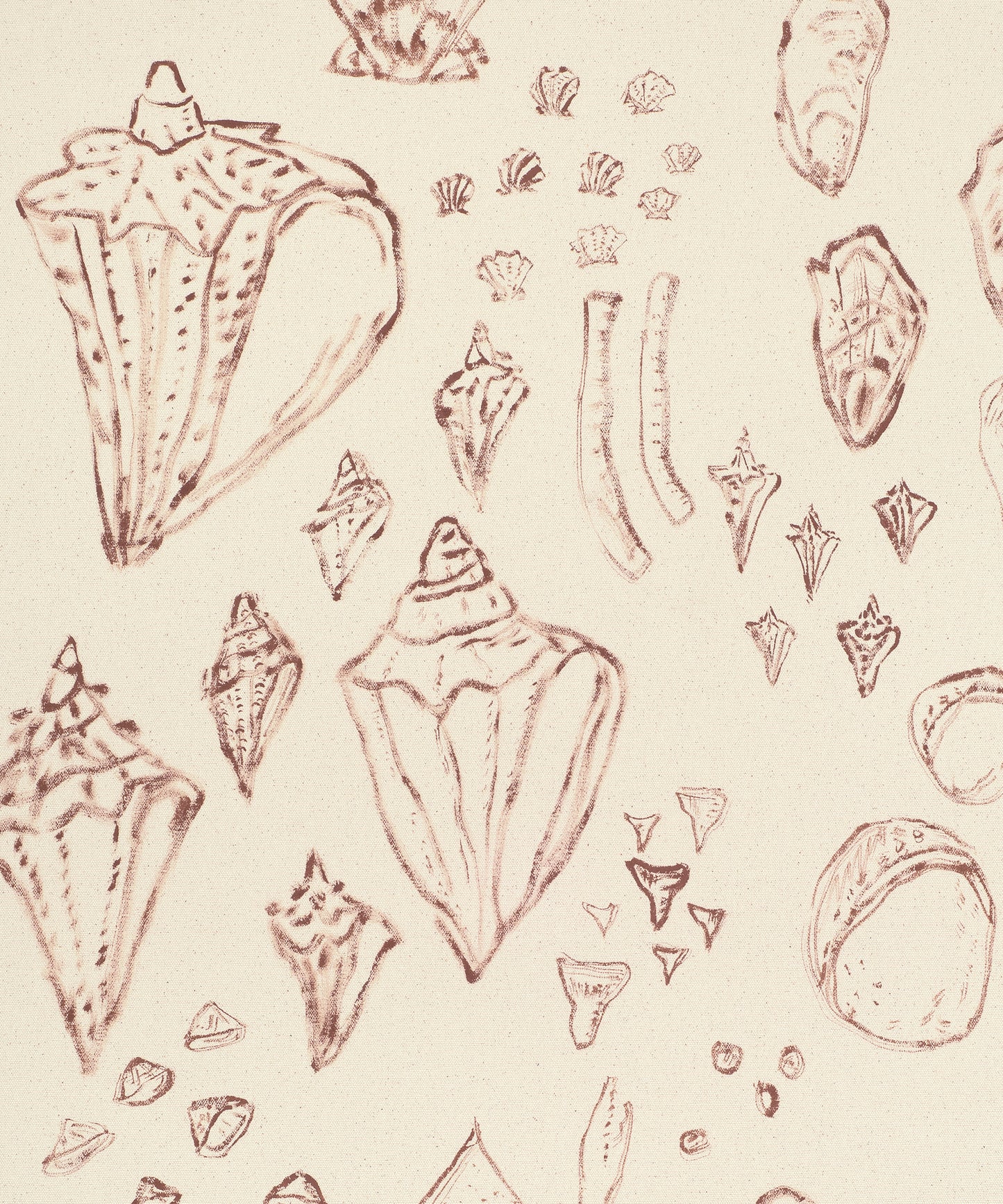 Saltwater Shells by Blakely Little