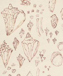 Saltwater Shells by Blakely Made