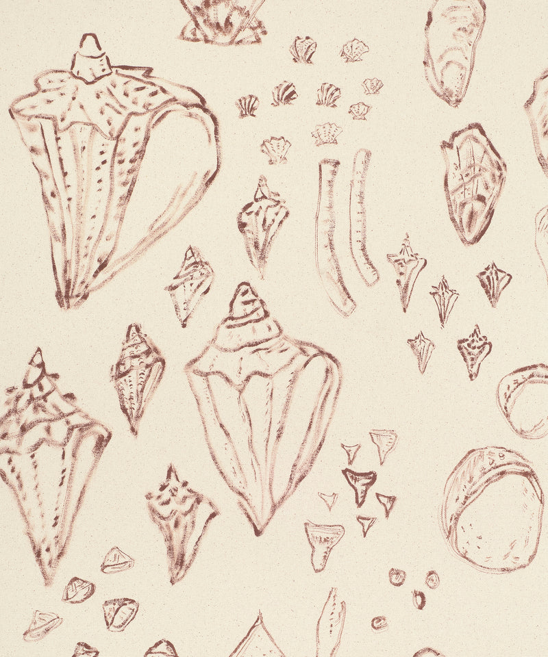 Saltwater Shells by Blakely Made