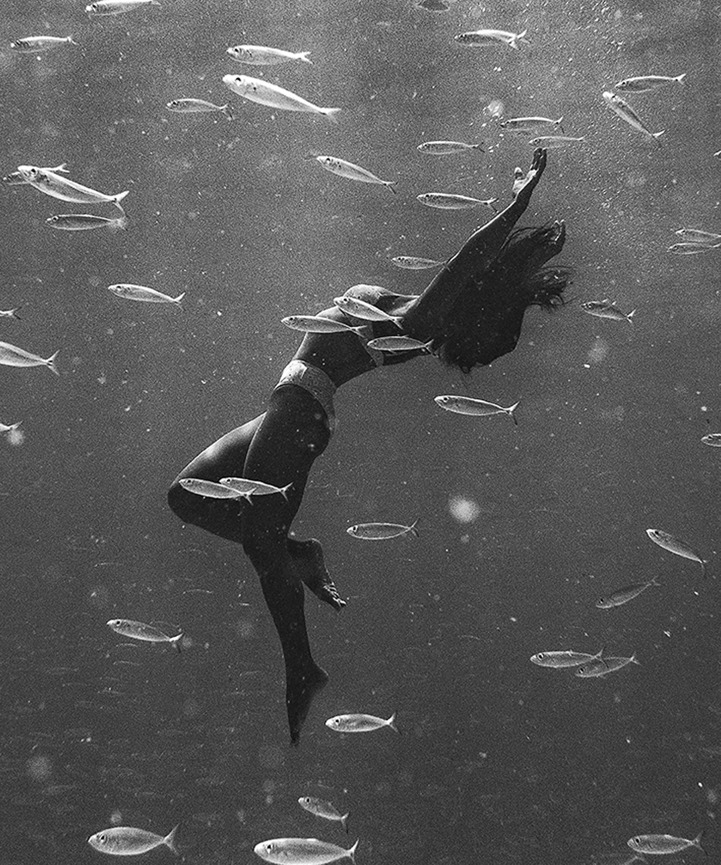 Encircled by Benjamin Ono