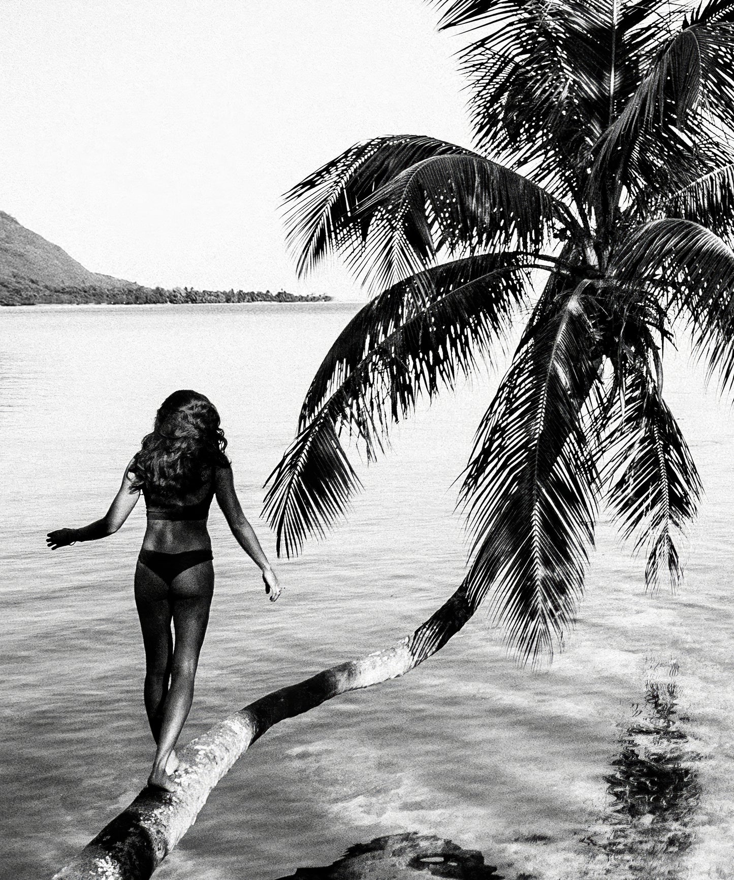 Branching Out by Benjamin Ono