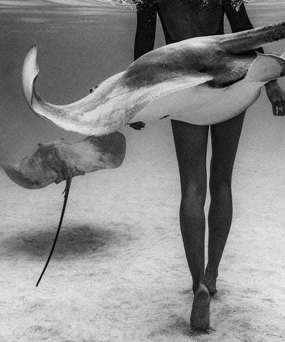 Stinger by Benjamin Ono