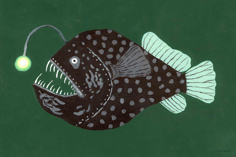 Anglerfish by Hannah Ervick
