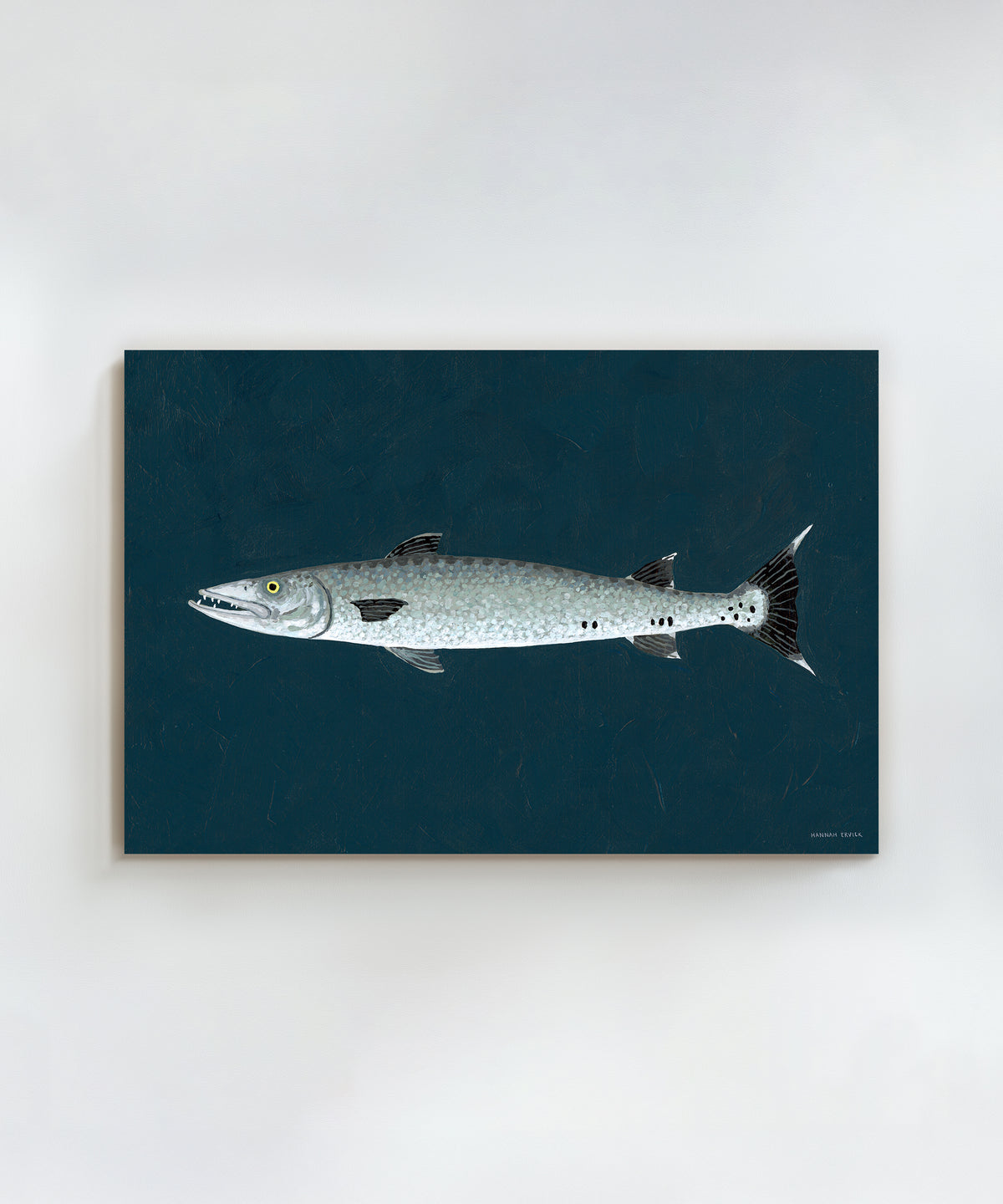 Barracuda by Hannah Ervick