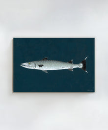 Barracuda by Hannah Ervick