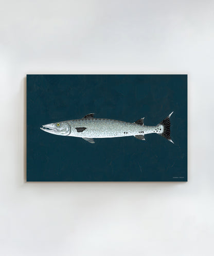 Barracuda by Hannah Ervick