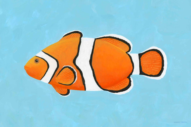 Clownfish by Hannah Ervick