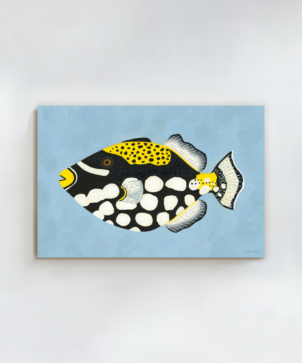 Clown Triggerfish by Hannah Ervick