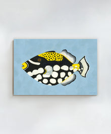 Clown Triggerfish by Hannah Ervick