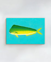 Mahi-mahi by Hannah Ervick