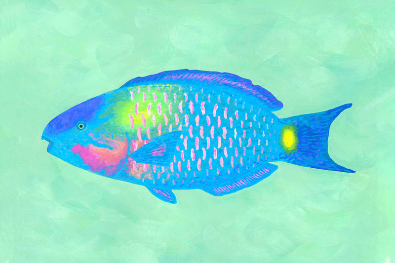 Parrotfish #1 by Hannah Ervick