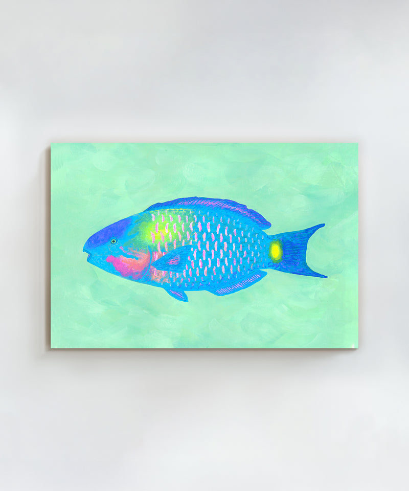 Parrotfish #1 by Hannah Ervick