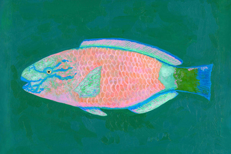 Parrotfish #2 by Hannah Ervick