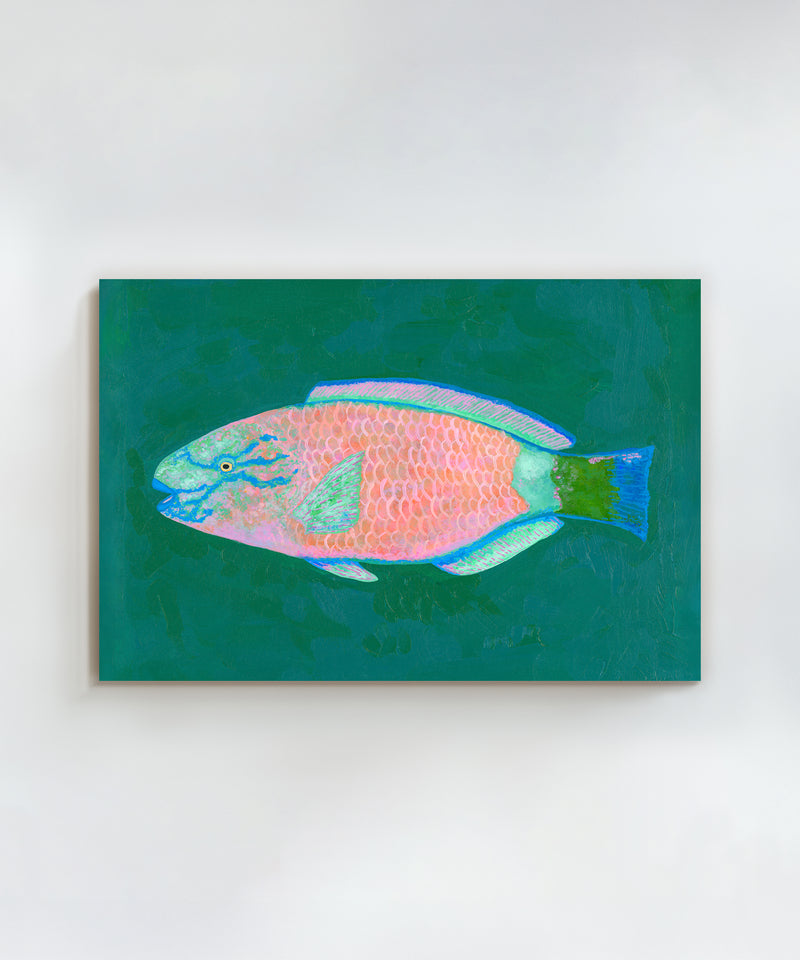Parrotfish #2 by Hannah Ervick