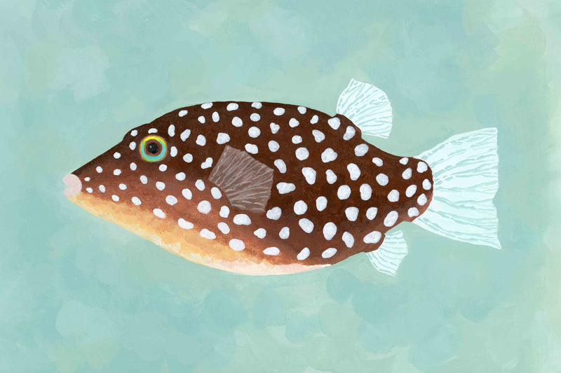 Pufferfish by Hannah Ervick