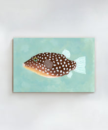 Pufferfish by Hannah Ervick