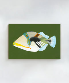 Reef Triggerfish by Hannah Ervick