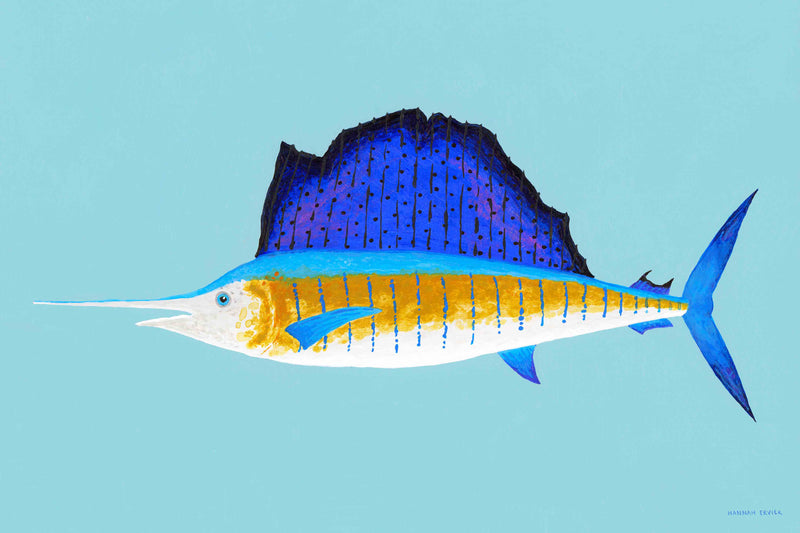 Sailfish by Hannah Ervick