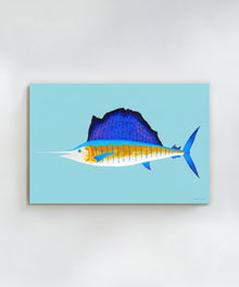 Sailfish by Hannah Ervick