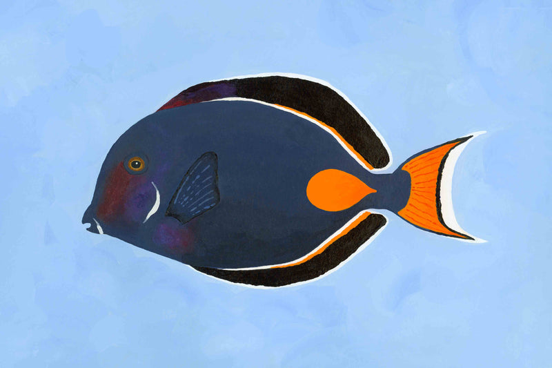 Achilles Tang by Hannah Ervick