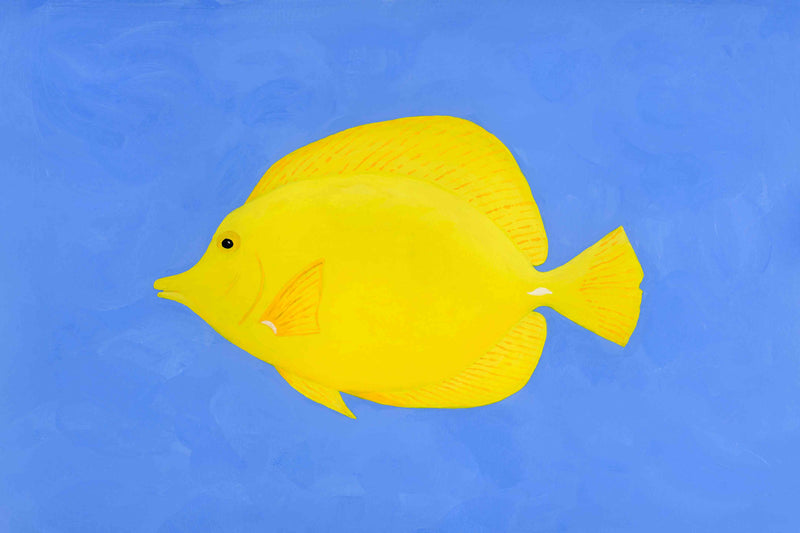 Yellow Tang by Hannah Ervick