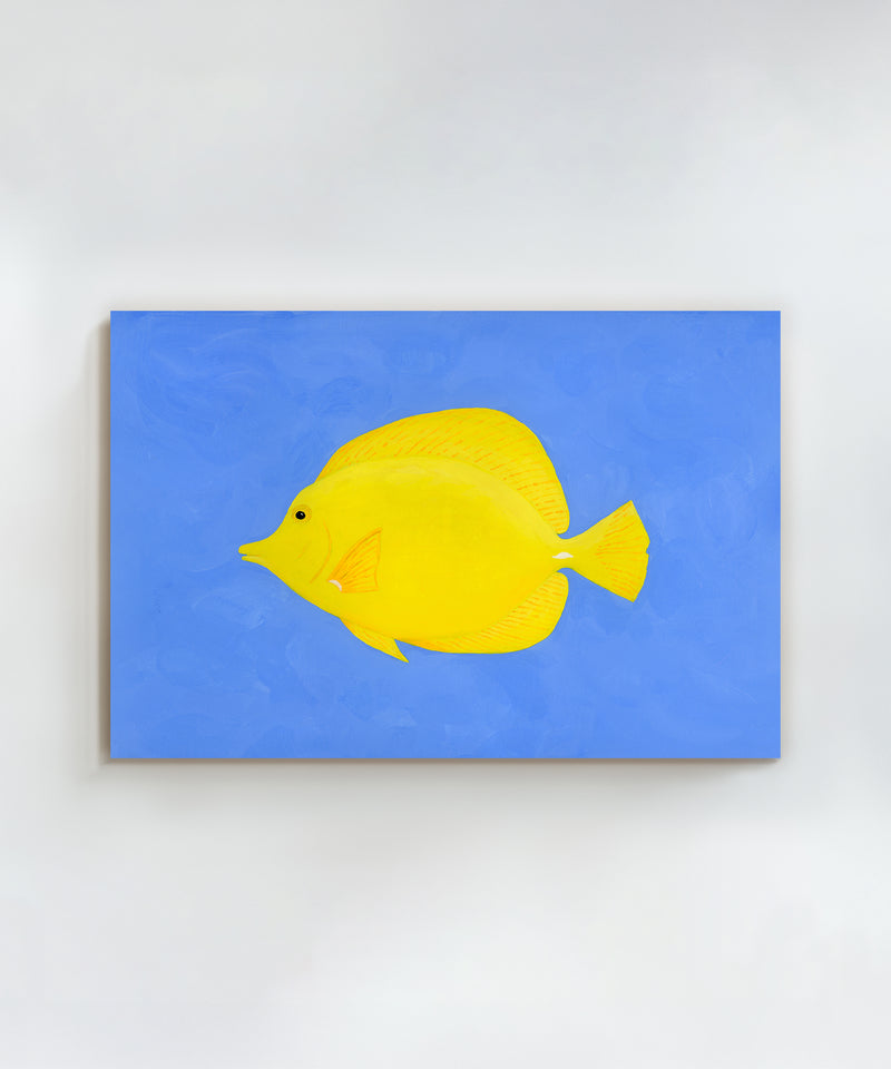 Yellow Tang by Hannah Ervick