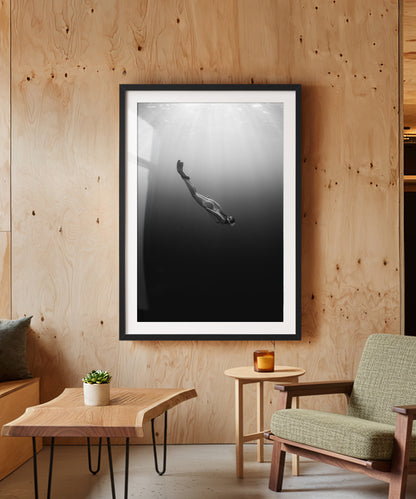 Into the Dark by Paula Ortega